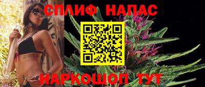 прущие грибы Партизанск