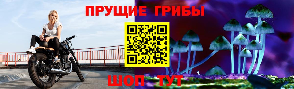 Псилоцибиновые грибы мухоморы Самара